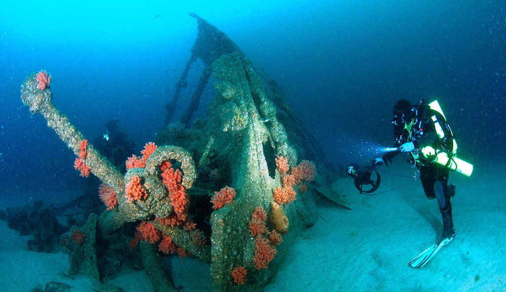 WATERY GRAVE: The Catterthun wreck is a popular dive site. WATERY GRAVE: The Catterthun wreck is a popular dive site.
