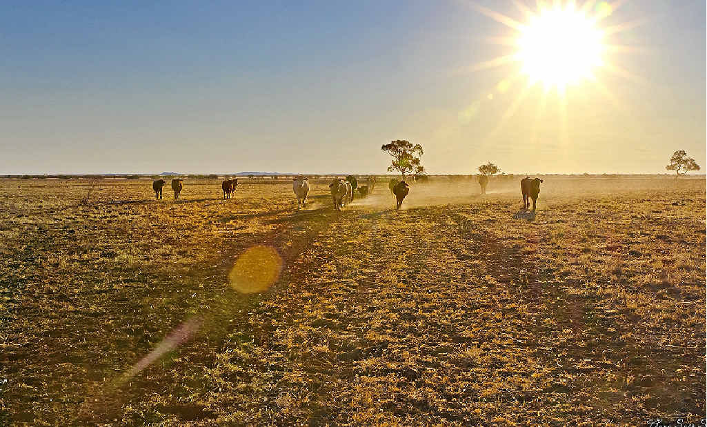 A further $3.5 million of funding for rural counselling services has been welcomed. A further $3.5 million of funding for rural counselling services has been welcomed.