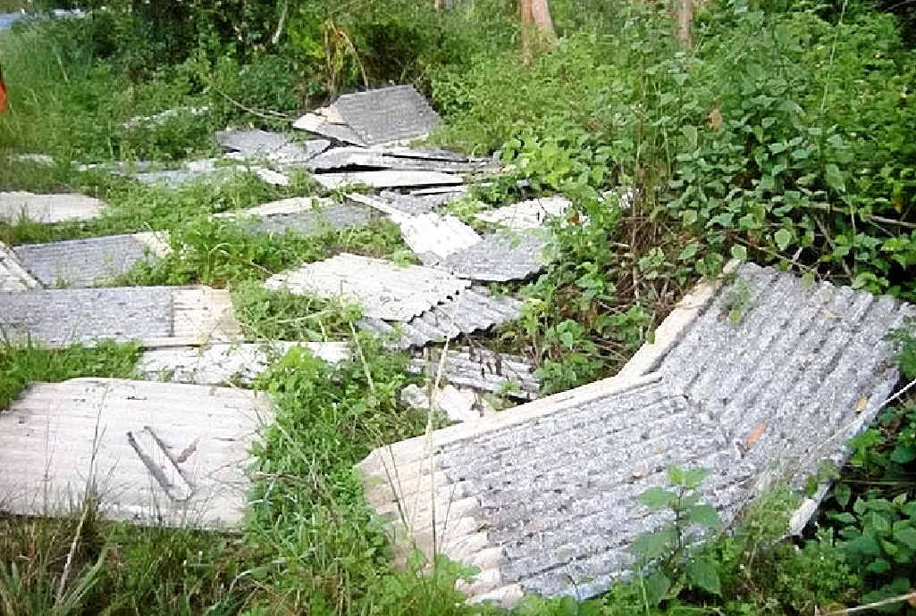 EXPENSIVE WASTE: A Byron builder learnt the hard way not to dump asbestos rubbish. EXPENSIVE WASTE: A Byron builder learnt the hard way not to dump asbestos rubbish.