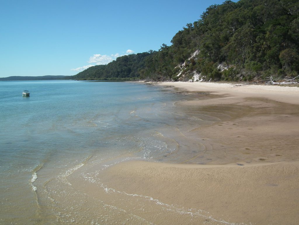 A beach near Kingfisher Bay Resort A beach near Kingfisher Bay Resort