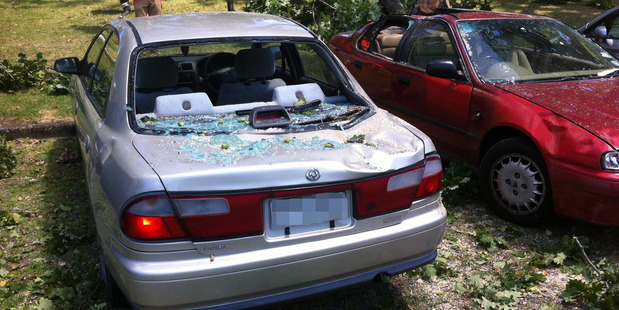 Three cars were severely damaged by the oak tree when in split in half. Photo / Morgan Tait Three cars were severely damaged by the oak tree when in split in half. Photo / Morgan Tait