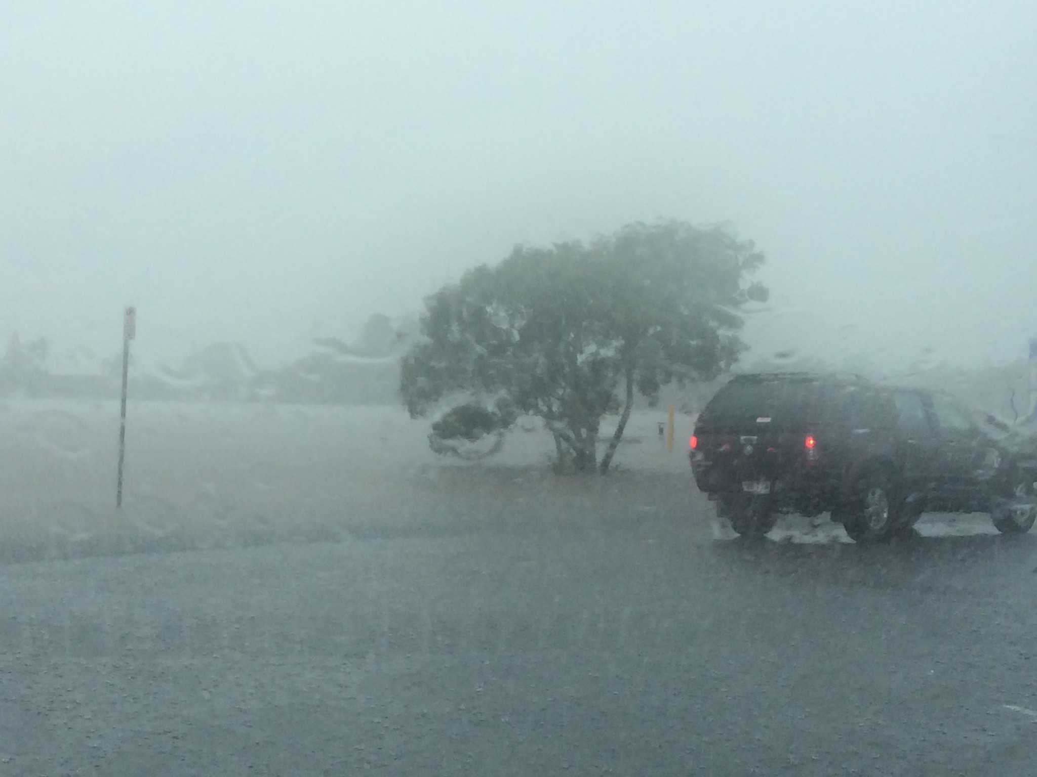 Bradman Avenue starts to flood Bradman Avenue starts to flood