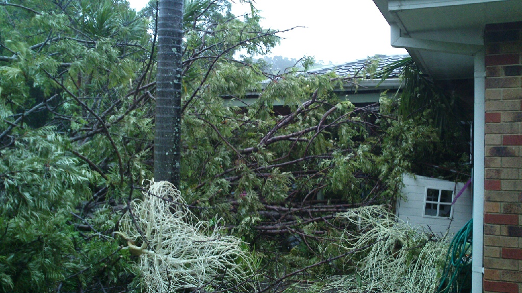 A tree that crushed and fence and cubby house before coming to rest on a house at Bottlebrush Crescent, Baywood Chase. A tree that crushed and fence and cubby house before coming to rest on a house at Bottlebrush Crescent, Baywood Chase.