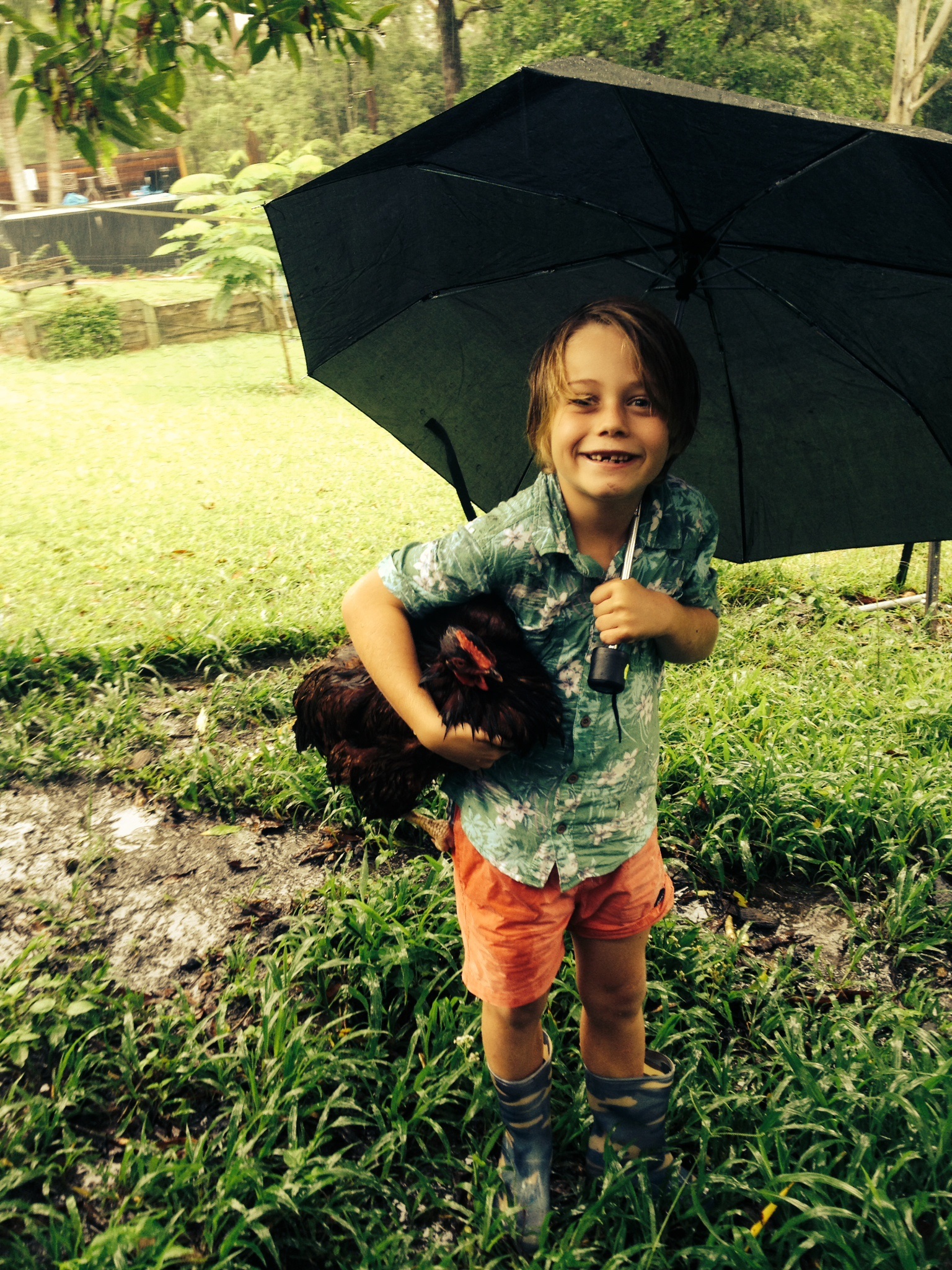Sam aged 9, reckons it might be lovely weather for ducks, but not for chooks! Max giving his chooks toffee (brown one) and sunny (white one) some respite and cuddles from their flooded pen.
Sam aged 9, reckons it might be lovely weather for ducks, but not for chooks! Max giving his chooks toffee (brown one) and sunny (white one) some respite and cuddles from their flooded pen.