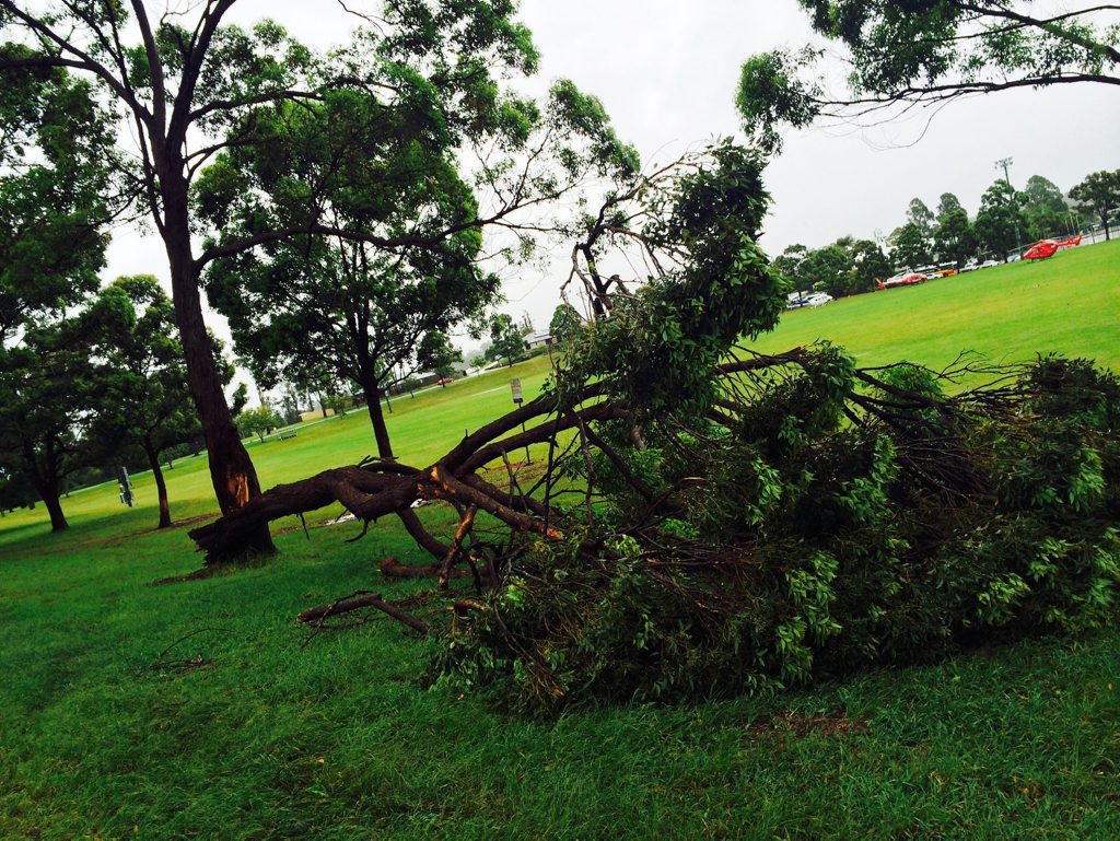 Hepburn Park - Holland St, Goonallabah, Damaged due to the windy weather during cylone Marcia. Photo : Phil Clynes Hepburn Park - Holland St, Goonallabah, Damaged due to the windy weather during cylone Marcia. Photo : Phil Clynes