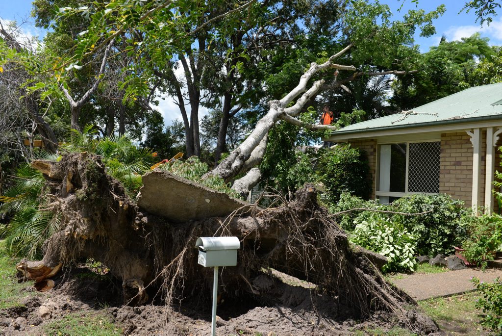 GARAGE CRUSHED: Homeowner Sandra Robertson had a large tree that was blown over in the cyclone removed from her front yard. Photo: Mike Knott / NewsMail GARAGE CRUSHED: Homeowner Sandra Robertson had a large tree that was blown over in the cyclone removed from her front yard. Photo: Mike Knott / NewsMail