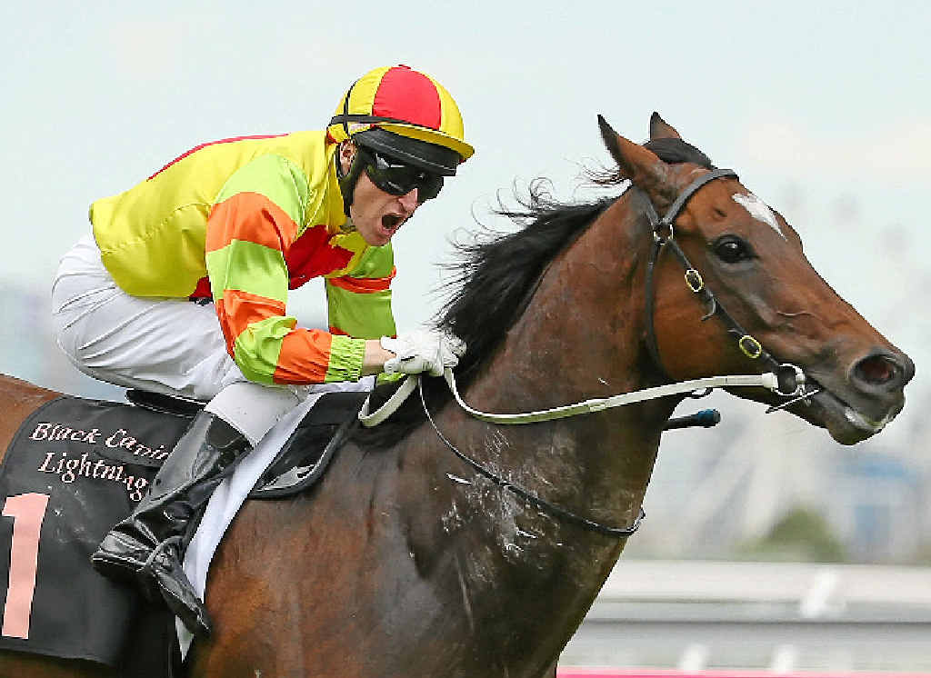 DETERMINED: Craig Newitt riding Lankan Rupee to a win in the Black Caviar Lightning Stakes during Black Caviar Lightning Day in Melbourne on Saturday. DETERMINED: Craig Newitt riding Lankan Rupee to a win in the Black Caviar Lightning Stakes during Black Caviar Lightning Day in Melbourne on Saturday.