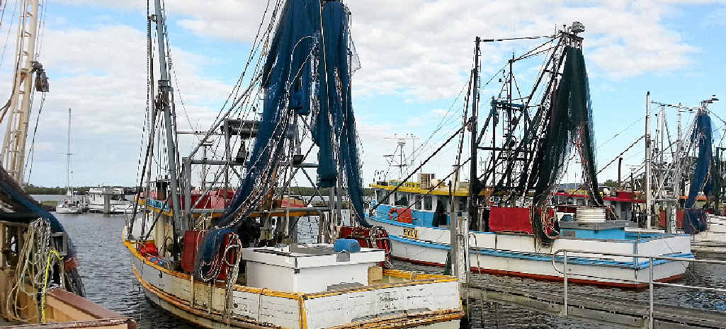 MODIFIED: Trawlermen will have to adopt new practices in order to reduce their bycatch as of Sunday. MODIFIED: Trawlermen will have to adopt new practices in order to reduce their bycatch as of Sunday.