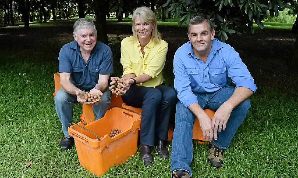 McLean Ridges macadamia farmer Charles Burgess with Minister for Primary Industries Katrina Hodgkinson and Industry Development Officer Jeremy Bright. McLean Ridges macadamia farmer Charles Burgess with Minister for Primary Industries Katrina Hodgkinson and Industry Development Officer Jeremy Bright.
