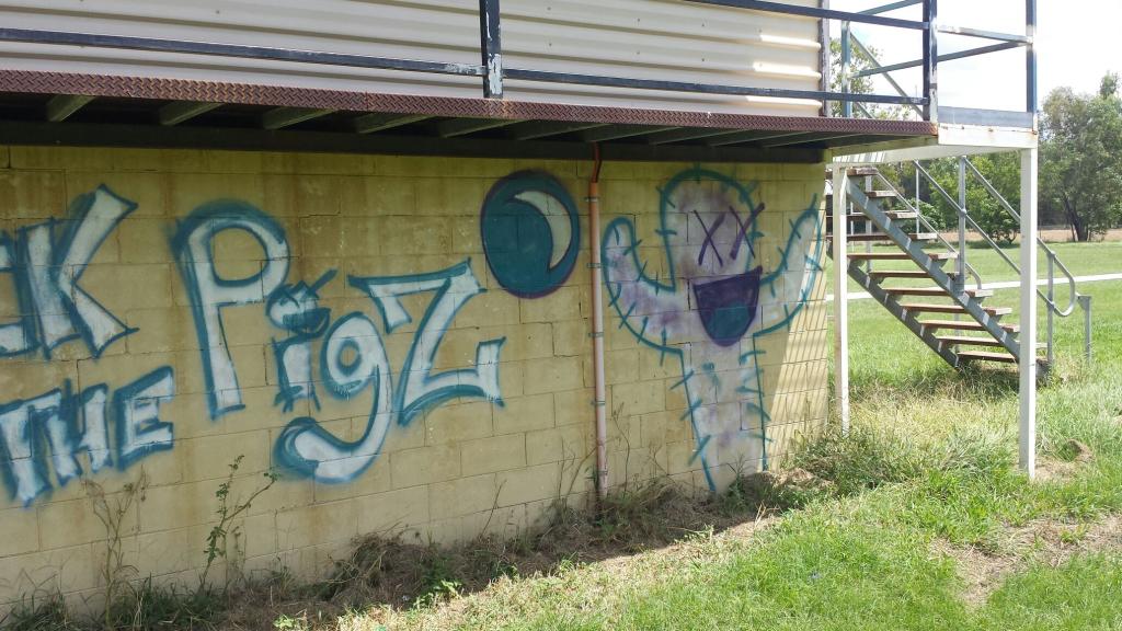 MCINDOE PARK: Vandals attacked walls and the commentary box at McIndoe Park. MCINDOE PARK: Vandals attacked walls and the commentary box at McIndoe Park.