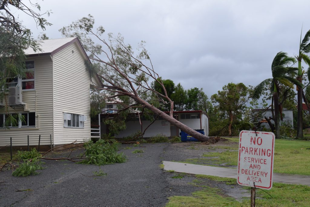 A fallen tree at Berserker Street State School Photo Lisa Benoit / The Morning Bulletin A fallen tree at Berserker Street State School Photo Lisa Benoit / The Morning Bulletin