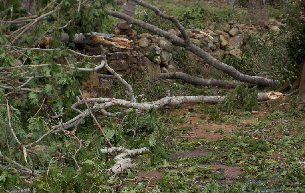 HEARTBREAKING: Large boughs and trees lie broken and twisted after Cyclone Marcia’s fury on Middle Percy Island. Caretaker Cate Radclyffe says she is grateful they still have their important infrastructure. HEARTBREAKING: Large boughs and trees lie broken and twisted after Cyclone Marcia’s fury on Middle Percy Island. Caretaker Cate Radclyffe says she is grateful they still have their important infrastructure.