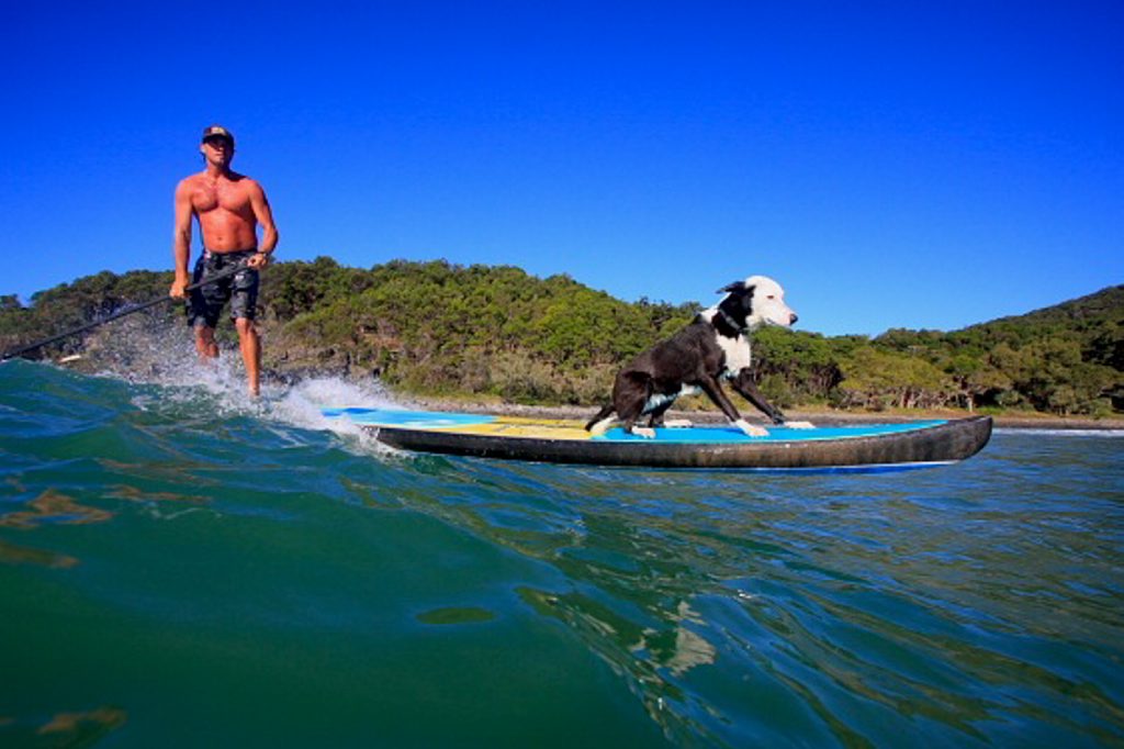 Dog trainer and stand-up padleboarder Chris de Aboitiz and his dog Lani enjoy a surf. 
