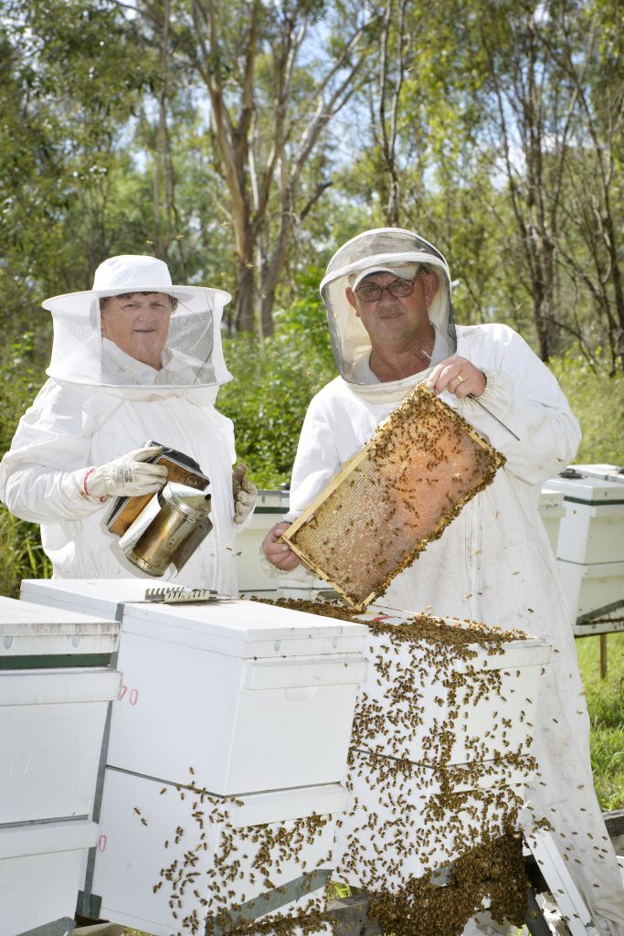 Hobby is buzzing in Ipswich Queensland Times