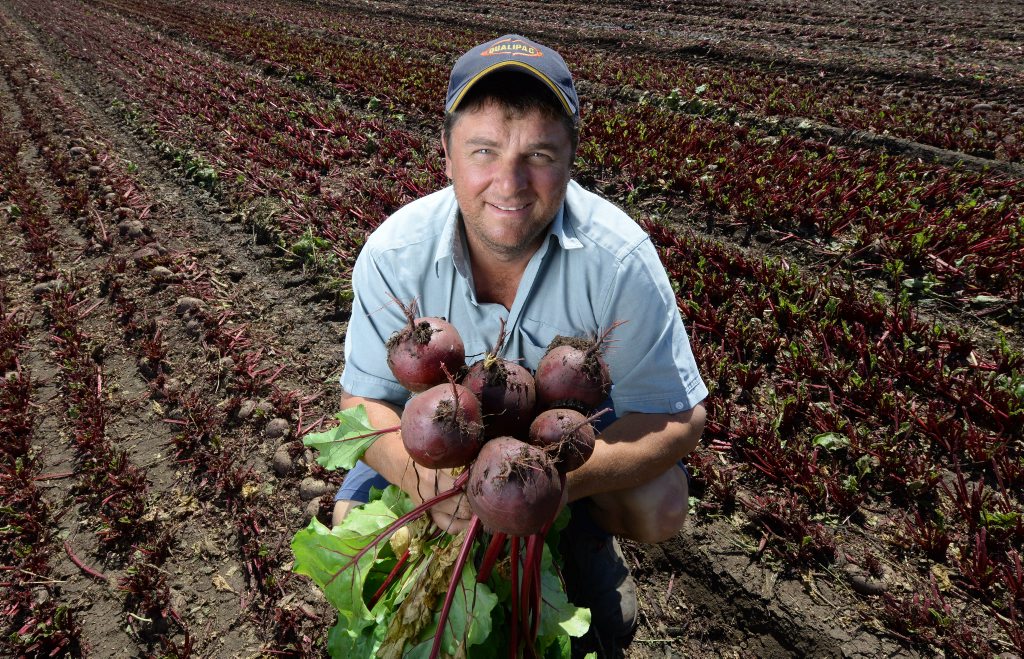 QUALITY: Troy Qualischefski from Qualipac farms with beetroots grown at his Glenore Grove farm. QUALITY: Troy Qualischefski from Qualipac farms with beetroots grown at his Glenore Grove farm.