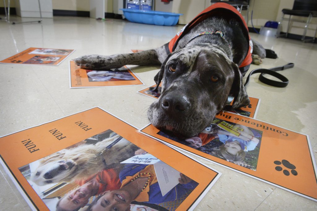 READY TO LISTEN: Clyde the dog. READY TO LISTEN: Clyde the dog.
