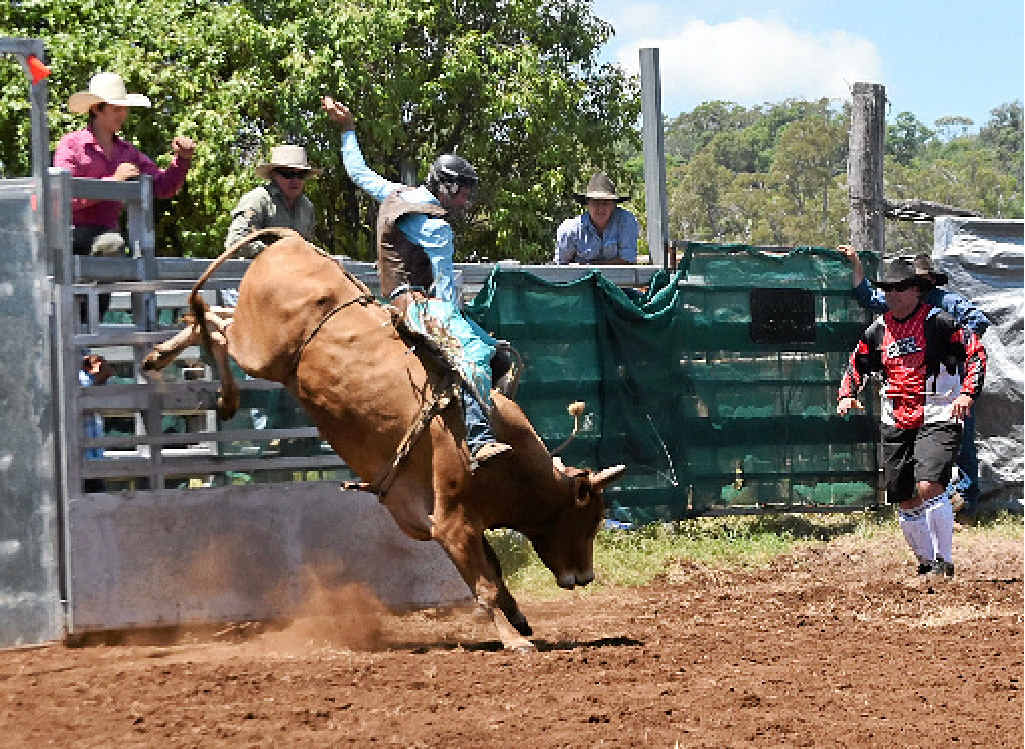 HOT TIME IN THE SADDLE: Matthew Young rides bull Jalapeno at the Bell Show rodeo. HOT TIME IN THE SADDLE: Matthew Young rides bull Jalapeno at the Bell Show rodeo.