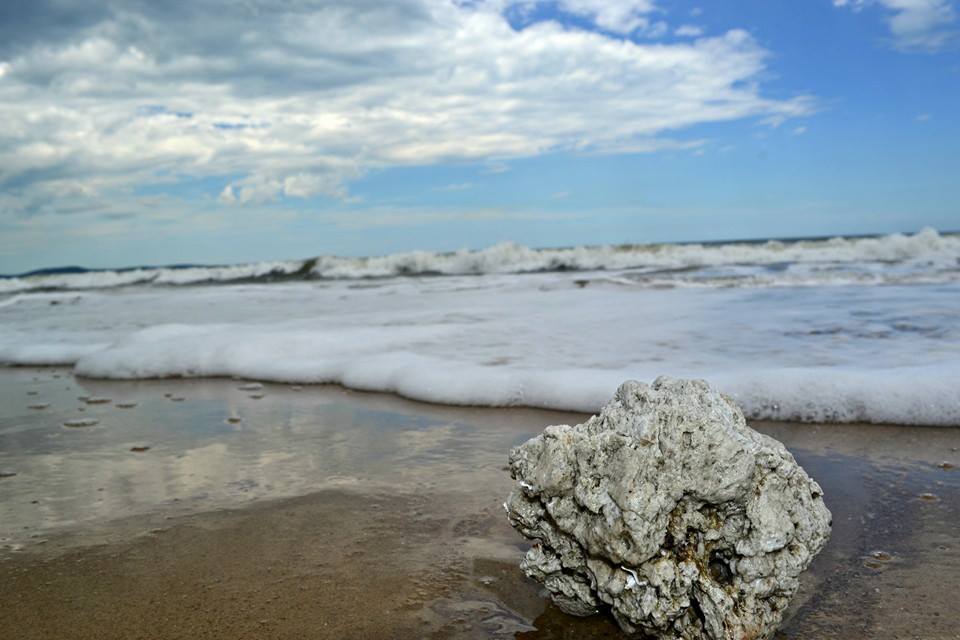 This is the photo that got the most likes and is our cover photo for the week. It was taken by Bayly McGuire at Tannum Sands beach. This is the photo that got the most likes and is our cover photo for the week. It was taken by Bayly McGuire at Tannum Sands beach.