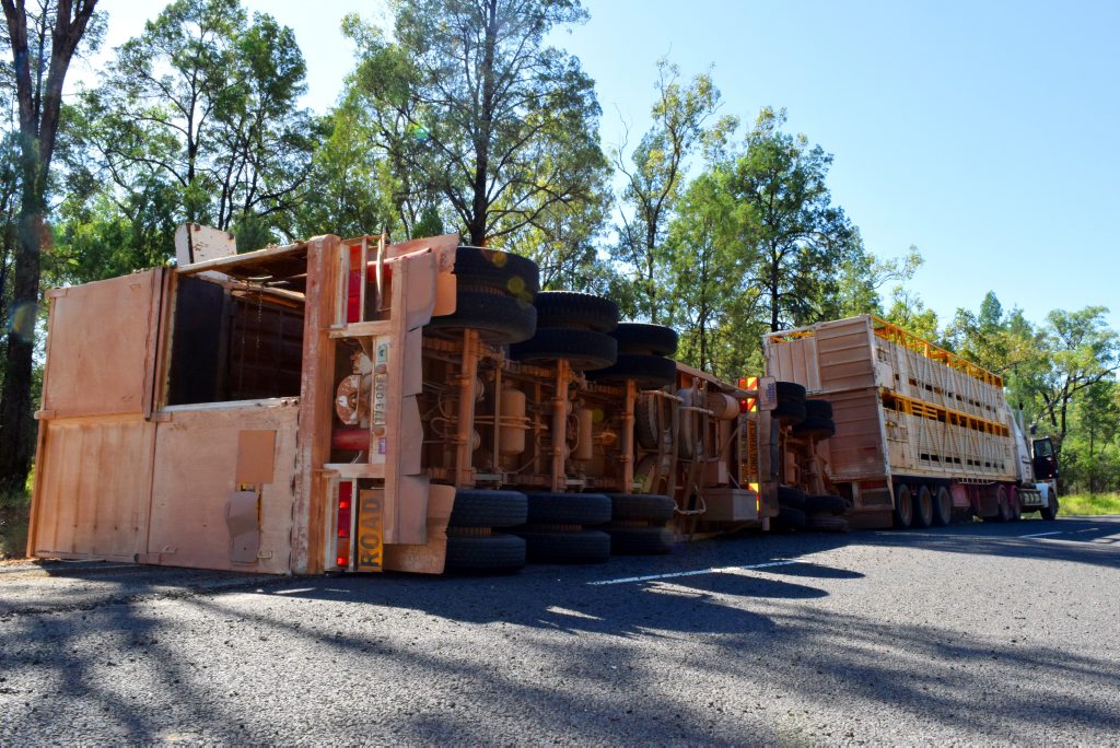 BREAKING: Cattle truck rollover on Surat Rd