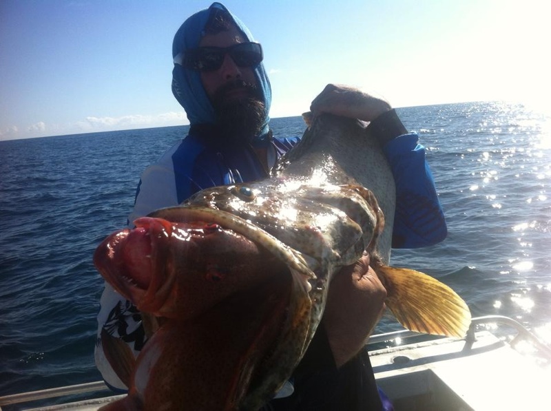 Shannon Harris reeled in a 195cm fish that already had two 4kg coral trout in its mouth on Sunday. Shannon Harris reeled in a 195cm fish that already had two 4kg coral trout in its mouth on Sunday.