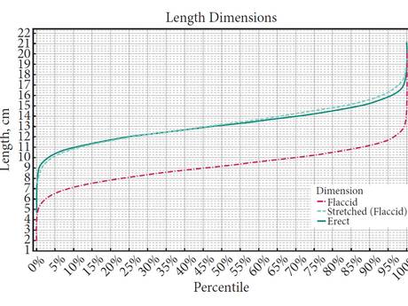 A graph showing the distribution of different penis lengths in the study A graph showing the distribution of different penis lengths in the study