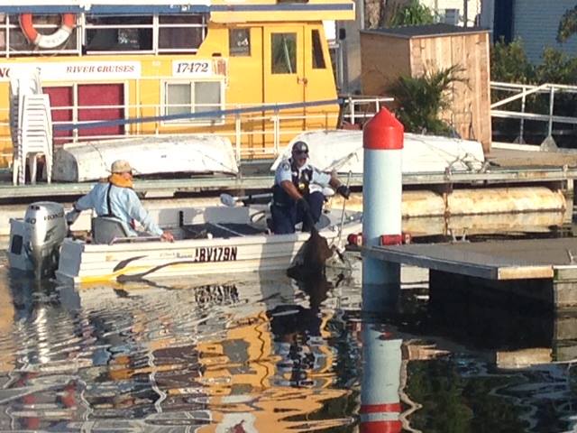 Senior Constable Darren Pass commandeered a tinny to rescue a wallby drowning in the Richmond River. Senior Constable Darren Pass commandeered a tinny to rescue a wallby drowning in the Richmond River.