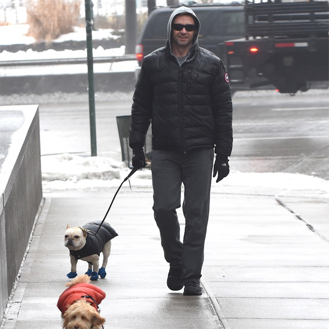 Hugh Jackman and his dogs Dali and Allegra Hugh Jackman and his dogs Dali and Allegra