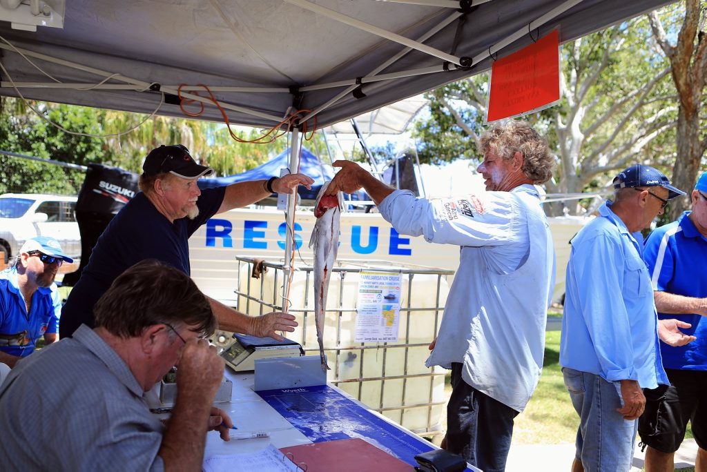 Robbie Muller weighs in his blackall at the VMR fishing competition. Robbie Muller weighs in his blackall at the VMR fishing competition.