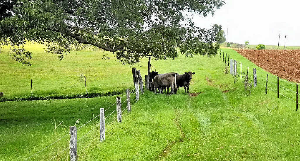 COUNTRY LIFE: Visitors will be able to learn all about life on the land at The Farm Byron Bay. COUNTRY LIFE: Visitors will be able to learn all about life on the land at The Farm Byron Bay.