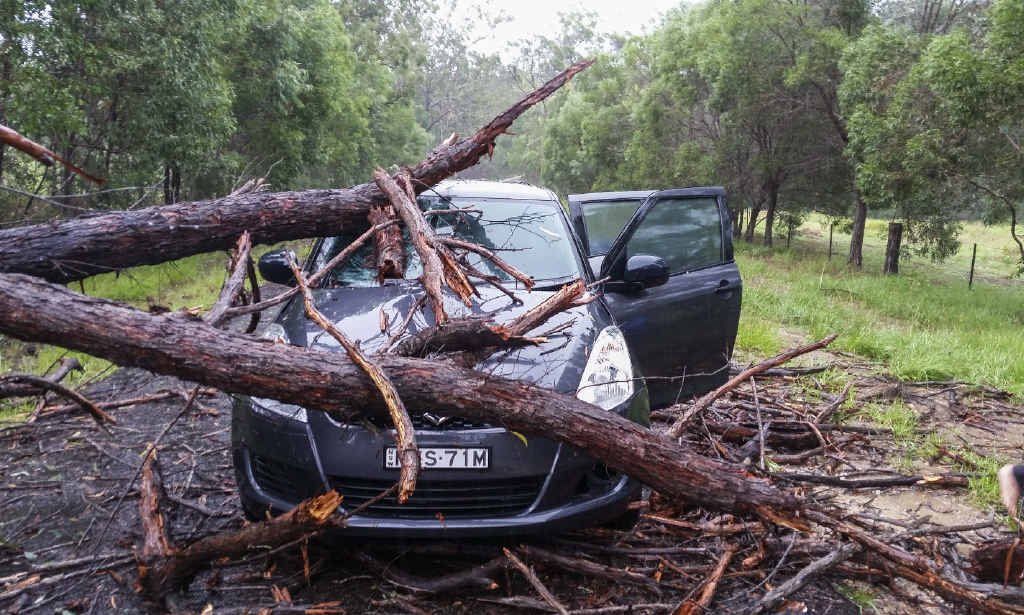 SHOCKING MOMENT: Venessa McGrath’s photo of her car crushed by a fallen tree. SHOCKING MOMENT: Venessa McGrath’s photo of her car crushed by a fallen tree.