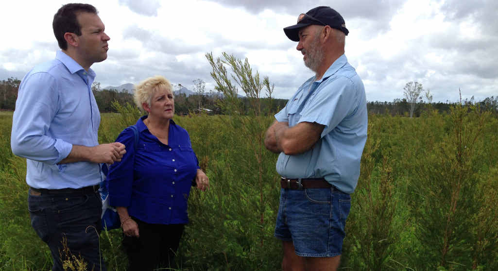 DEVASTATED: Rockhampton-based Senator Matt Canavan, Michelle Landry MP and tea tree plantation owner Jordan Slarke at Byfield. DEVASTATED: Rockhampton-based Senator Matt Canavan, Michelle Landry MP and tea tree plantation owner Jordan Slarke at Byfield.