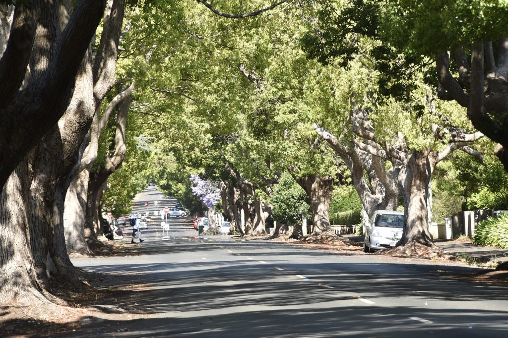 Elite streets Toowoomba’s very best addresses Chronicle