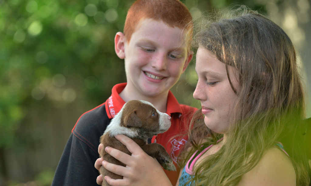 CUTE BUT SMELLY: Four-week-old “Draino” has a name that will forever remind his family of his escape from a stormwater drain in Henry St yesterday. CUTE BUT SMELLY: Four-week-old “Draino” has a name that will forever remind his family of his escape from a stormwater drain in Henry St yesterday.