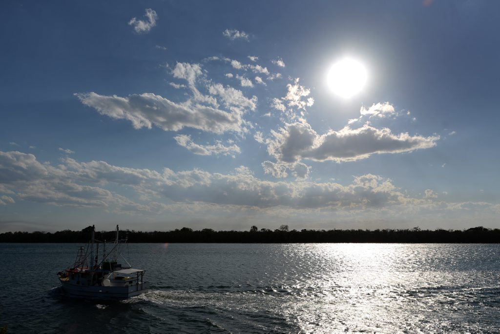Commercial fishers say proposed net-free zones for areas on the Queensland coast will cost jobs and remove fresh fish off the plates of locals. Commercial fishers say proposed net-free zones for areas on the Queensland coast will cost jobs and remove fresh fish off the plates of locals.