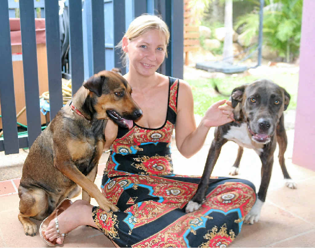 ENERGETIC HOUNDS: Michelle Bainbridge’s dogs, Marley (left) and Vixen, are an ever-present bundle of energy. ENERGETIC HOUNDS: Michelle Bainbridge’s dogs, Marley (left) and Vixen, are an ever-present bundle of energy.