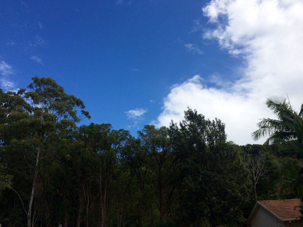 There are blue skies along the Northern Rivers coast but the Bureau still says we can expect heavy rain, thunderstorms, and possible flash flooding. There are blue skies along the Northern Rivers coast but the Bureau still says we can expect heavy rain, thunderstorms, and possible flash flooding.