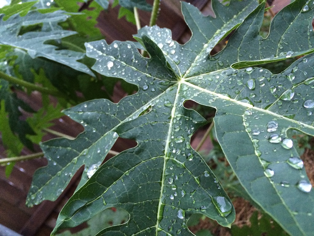 Heavy rainfall is expected in much of the state. Heavy rainfall is expected in much of the state.