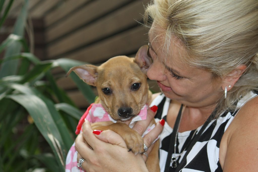 Karyn Lohse, Pets in Crisis co-ordinator with a pup rescued from domestic violence. Photo Sherele Moody / APN NewsDesk Karyn Lohse, Pets in Crisis co-ordinator with a pup rescued from domestic violence. Photo Sherele Moody / APN NewsDesk
