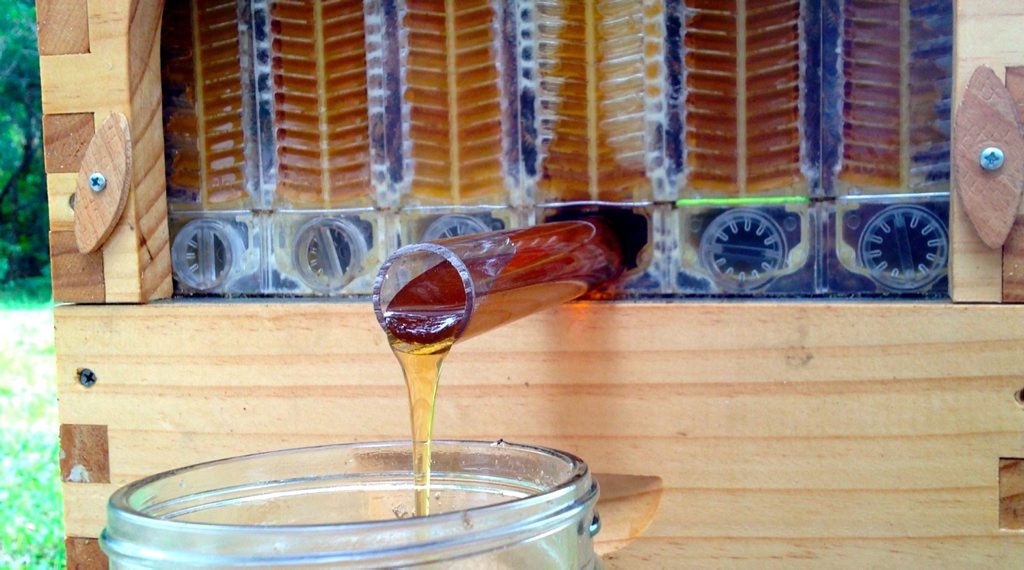 Flow Hive, invented by Cedar and Stuart Anderson. Flow Hive, invented by Cedar and Stuart Anderson.