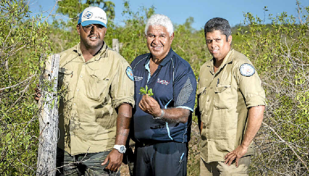 HELPING HAND: Gabe Little, Richard Johnson and Desmond Purcell are land and sea rangers exchanging cultural and historical knowledge to allow scientists to gain a better understanding of how mangroves have been managed in the past. HELPING HAND: Gabe Little, Richard Johnson and Desmond Purcell are land and sea rangers exchanging cultural and historical knowledge to allow scientists to gain a better understanding of how mangroves have been managed in the past.