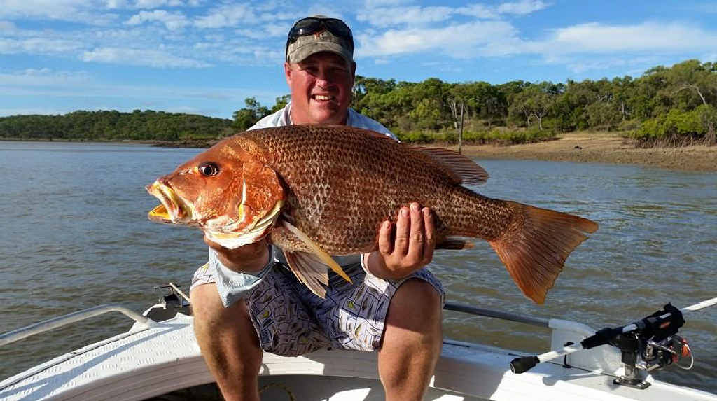 RIGHT BAIT: Simon Cowley with his 78cm, 13½ lb fingermark caught in the harbour this week. RIGHT BAIT: Simon Cowley with his 78cm, 13½ lb fingermark caught in the harbour this week.