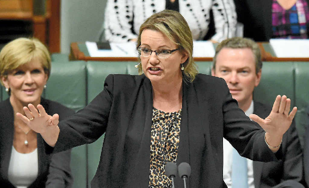 UP IN THE AIR: Health Minister Sussan Ley hasn’t confirmed federal funding for suicide support programs beyond June. UP IN THE AIR: Health Minister Sussan Ley hasn’t confirmed federal funding for suicide support programs beyond June.