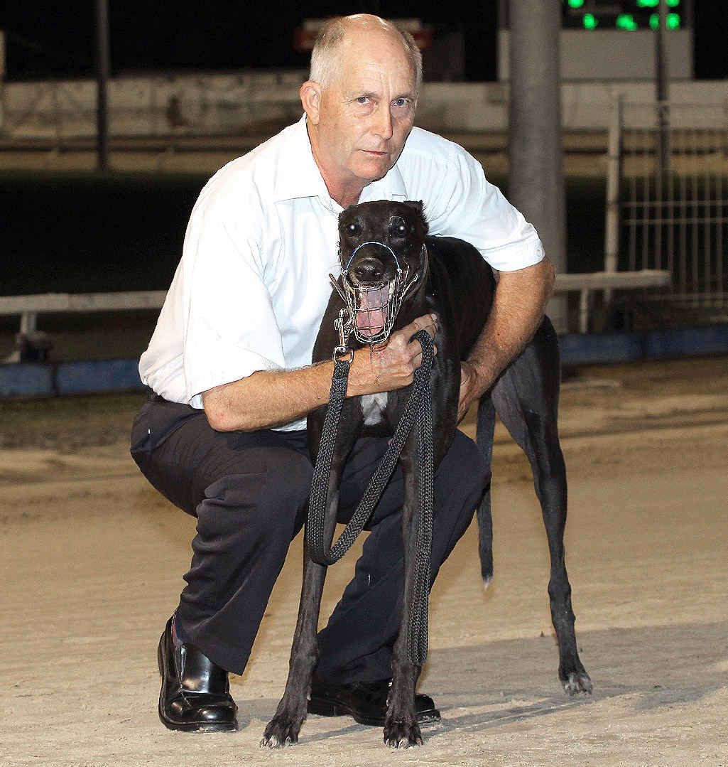 TWIN CHALLENGE: Casino’s Mark Wilkes is hoping to score a memorable victory with his greyhound War Picture in tonight’s auction final at the Ipswich Showgrounds. Wilkes has a second runner In The Picture. TWIN CHALLENGE: Casino’s Mark Wilkes is hoping to score a memorable victory with his greyhound War Picture in tonight’s auction final at the Ipswich Showgrounds. Wilkes has a second runner In The Picture.