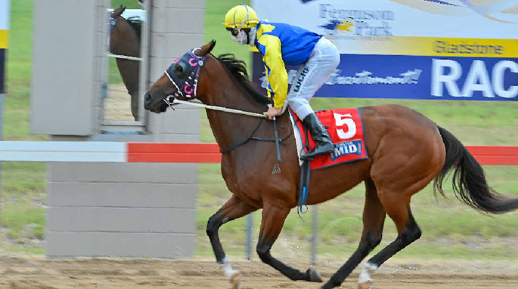 Leaps And Bounds ridden by Scott Sheargold won the Cameron Cole Memorial. Leaps And Bounds ridden by Scott Sheargold won the Cameron Cole Memorial.