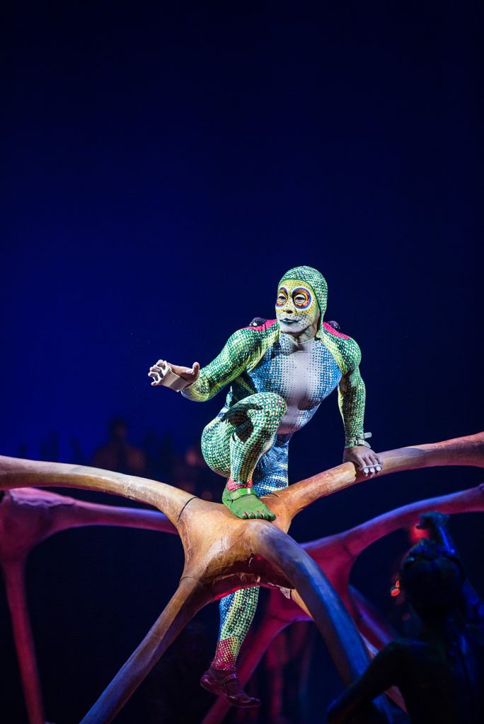 A scene from the Cirque du Soleil show Totem. A scene from the Cirque du Soleil show Totem.