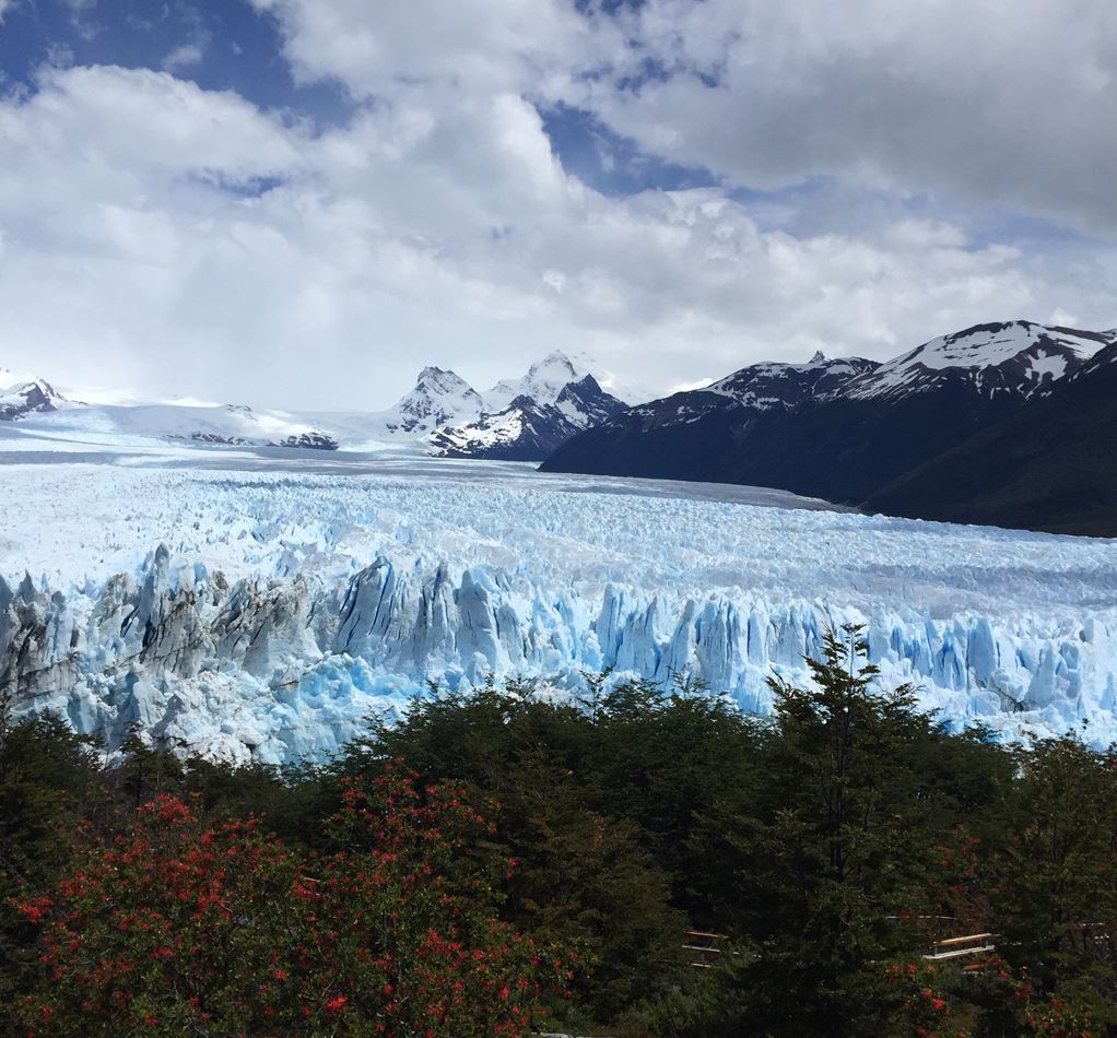 Top Tips And Apps To Get The Best Iphone Photos Sunshine Coast Daily