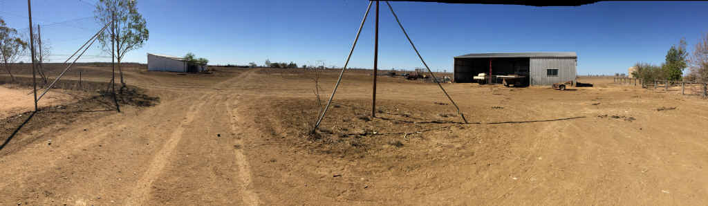 Fairfield hasn’t seen decent falls of rain in two-and-a-half years, forcing the Macintosh family to de-stock more than 50% of their sheep and down to just 23 cattle. Fairfield hasn’t seen decent falls of rain in two-and-a-half years, forcing the Macintosh family to de-stock more than 50% of their sheep and down to just 23 cattle.
