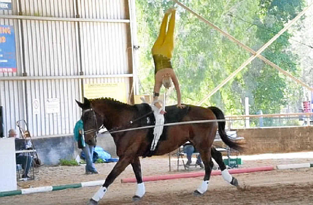 HI HO – IT’S SILVER: Jerri Dixon, a member of the Byron Bay Vaulting Team, performing a handstand manoeuvre. She came second in the individual advanced category of the recent Fassifern Ribbon Day. HI HO – IT’S SILVER: Jerri Dixon, a member of the Byron Bay Vaulting Team, performing a handstand manoeuvre. She came second in the individual advanced category of the recent Fassifern Ribbon Day.