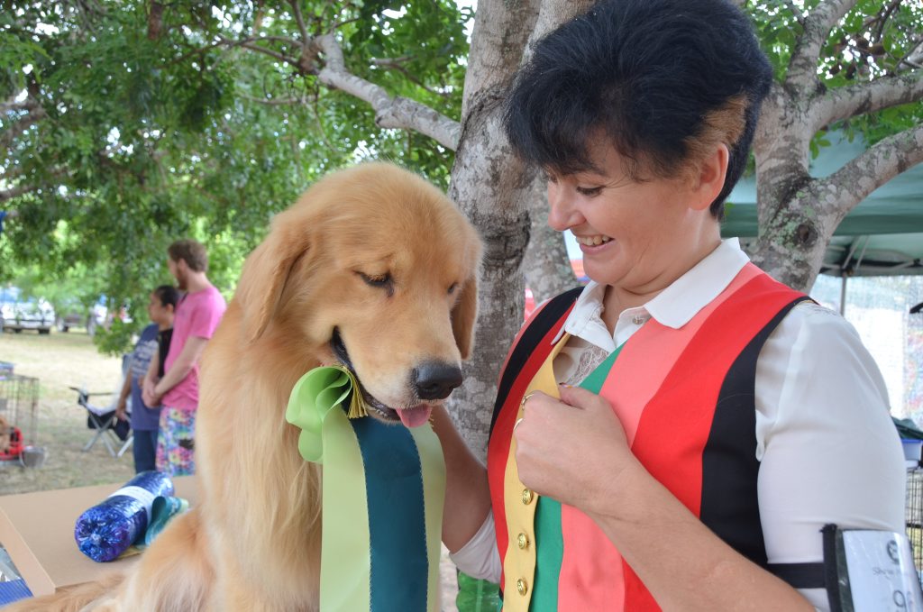 BEST IN SHOW: Golden retriever James - the youngest golden retriever to make Supreme Champion - takes out Best in Gayndah Show to the delight of owner Anthea Adamopoulos. Photo Shirley Way / Central & North Burnett Times BEST IN SHOW: Golden retriever James - the youngest golden retriever to make Supreme Champion - takes out Best in Gayndah Show to the delight of owner Anthea Adamopoulos. Photo Shirley Way / Central & North Burnett Times