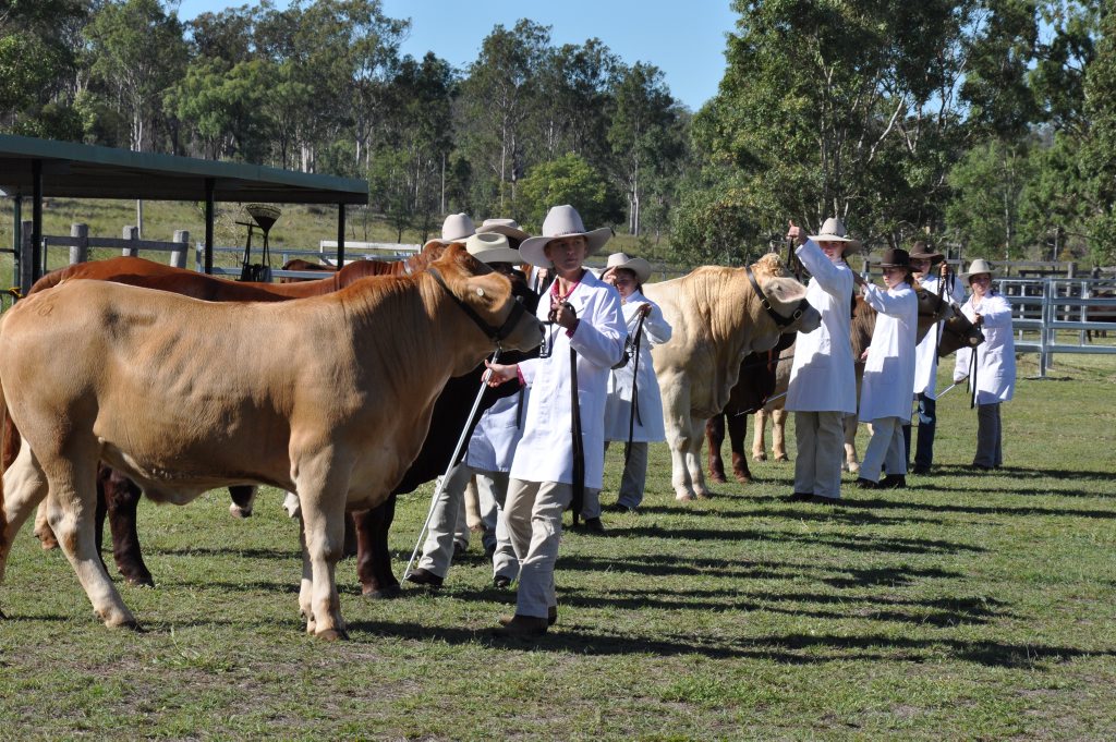 Young Paraders (15-25 years) show their stuff at Eidsvold Show. Photo Katherine Kokkonen / Central and North Burnett Times Young Paraders (15-25 years) show their stuff at Eidsvold Show. Photo Katherine Kokkonen / Central and North Burnett Times